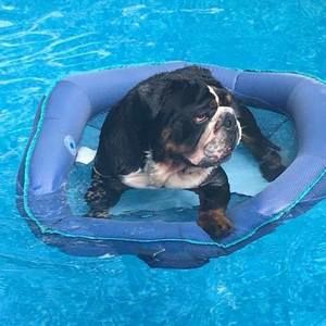 Meet your Posher, Keri